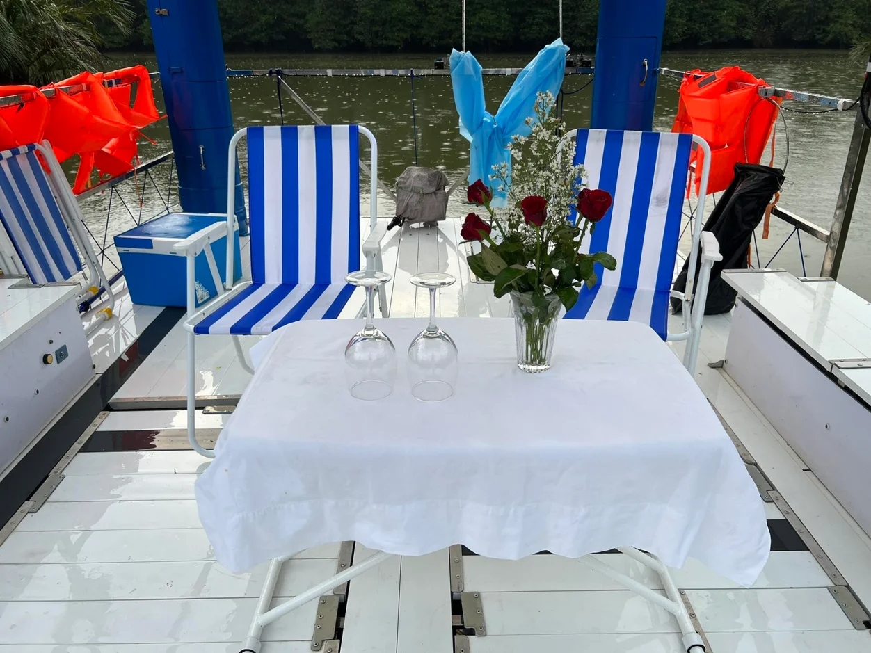 Solar boat deck view with mangroves