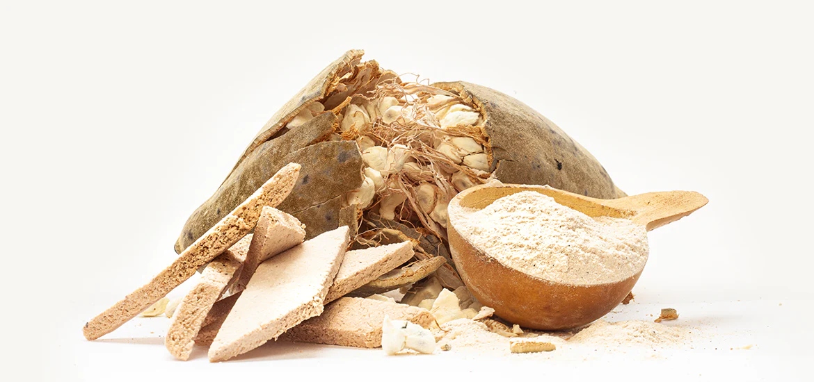 Pain de singe - Fruit du baobab